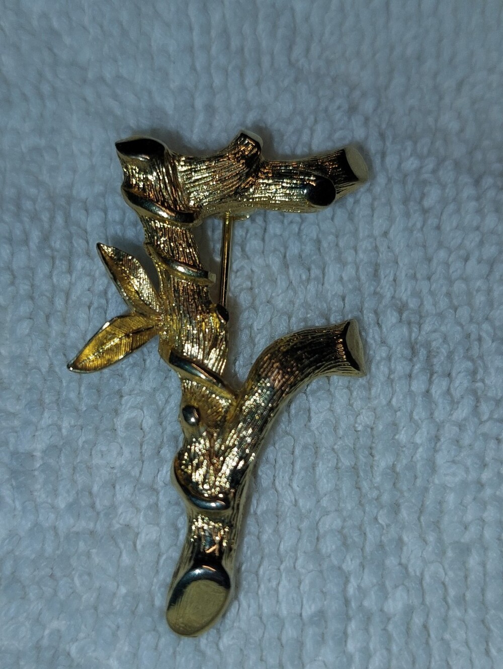 Sarah Coventry Letter F Gold Bamboo Branch Brooch - Women Accessories